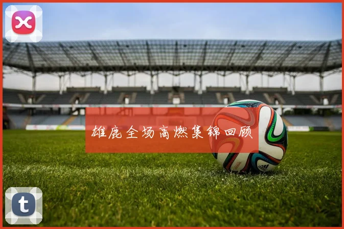 雄鹿全场高燃集锦回顾