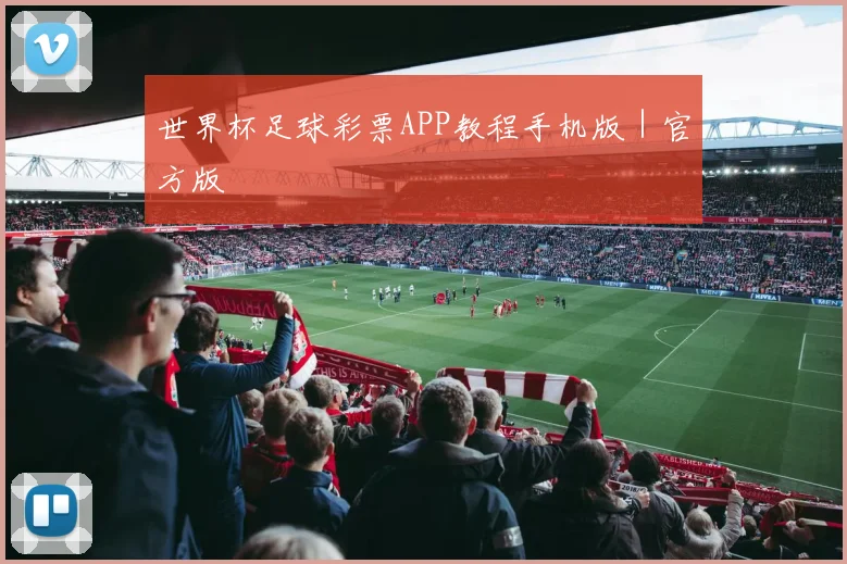 世界杯足球彩票APP教程手机版|官方版