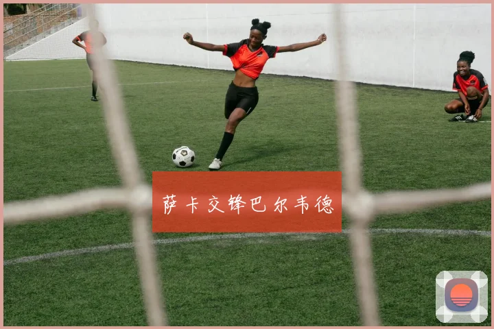 萨卡交锋巴尔韦德