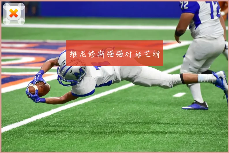 维尼修斯强强对话芒特