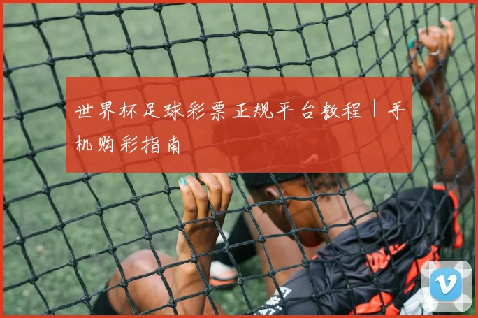 世界杯足球彩票正规平台教程|手机购彩指南