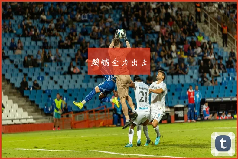 鹈鹕全力出击