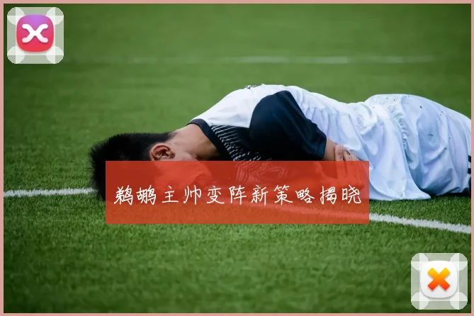 鹈鹕主帅变阵新策略揭晓