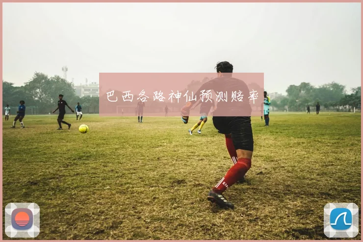 巴西各路神仙预测赔率