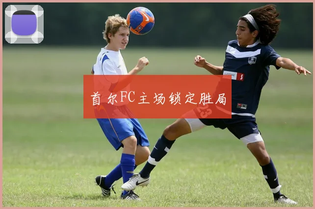 首尔FC主场锁定胜局