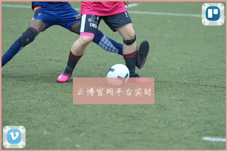 云博官网平台实时
