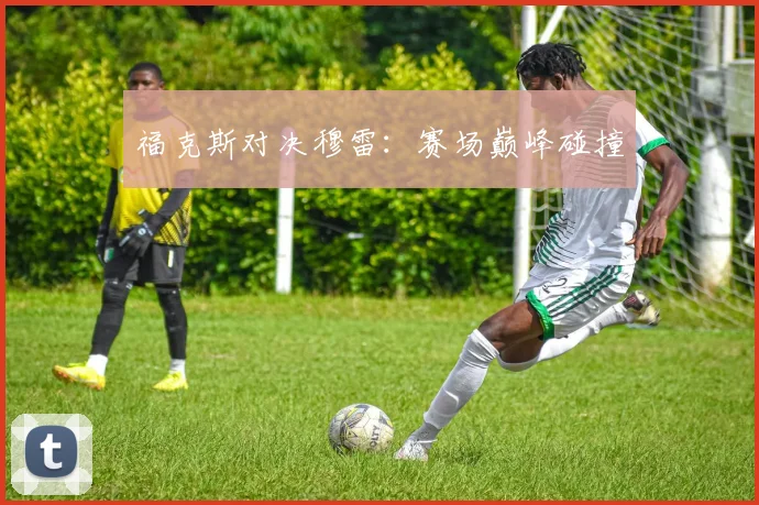 福克斯对决穆雷:赛场巅峰碰撞