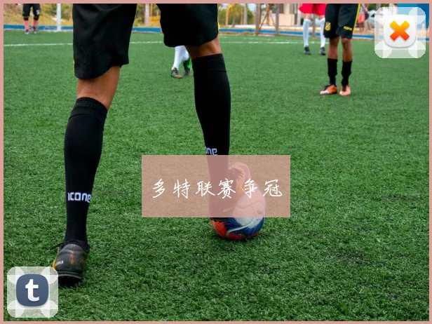 多特联赛争冠