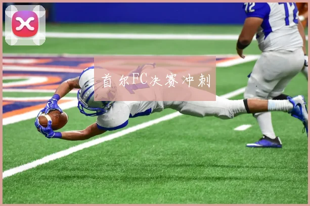 首尔FC决赛冲刺