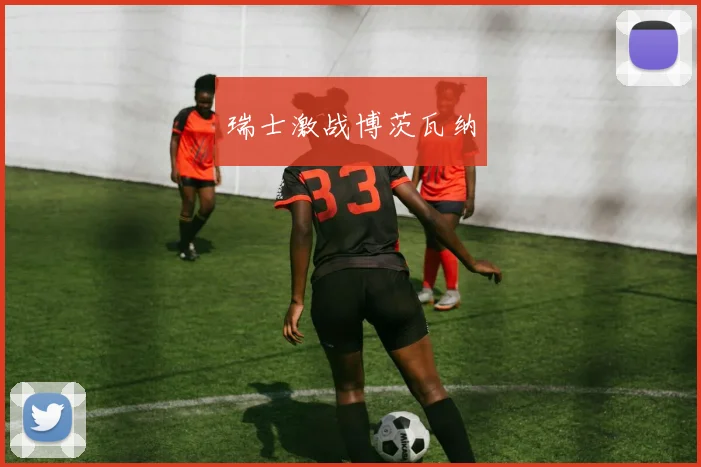 瑞士激战博茨瓦纳