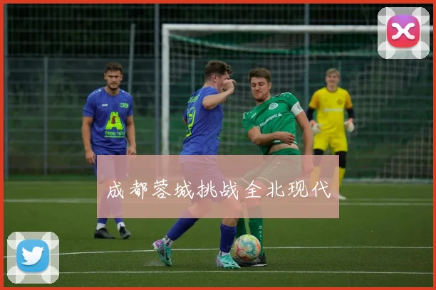 成都蓉城挑战全北现代