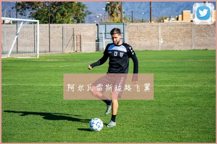阿尔瓦雷斯边路飞翼