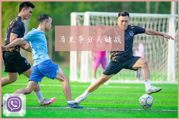 马里争分关键战