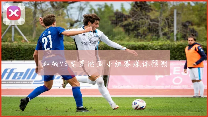 加纳vs克罗地亚小组赛媒体预测