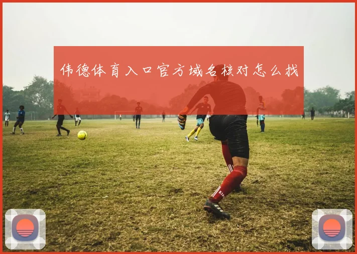 伟德体育入口官方域名核对怎么找