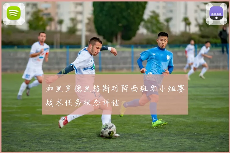 加里罗德里格斯对阵西班牙小组赛战术任务状态评估
